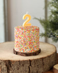 Rainbow Sprinkles Cake
