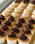 Birthday Sprinkles Mini Cupcakes