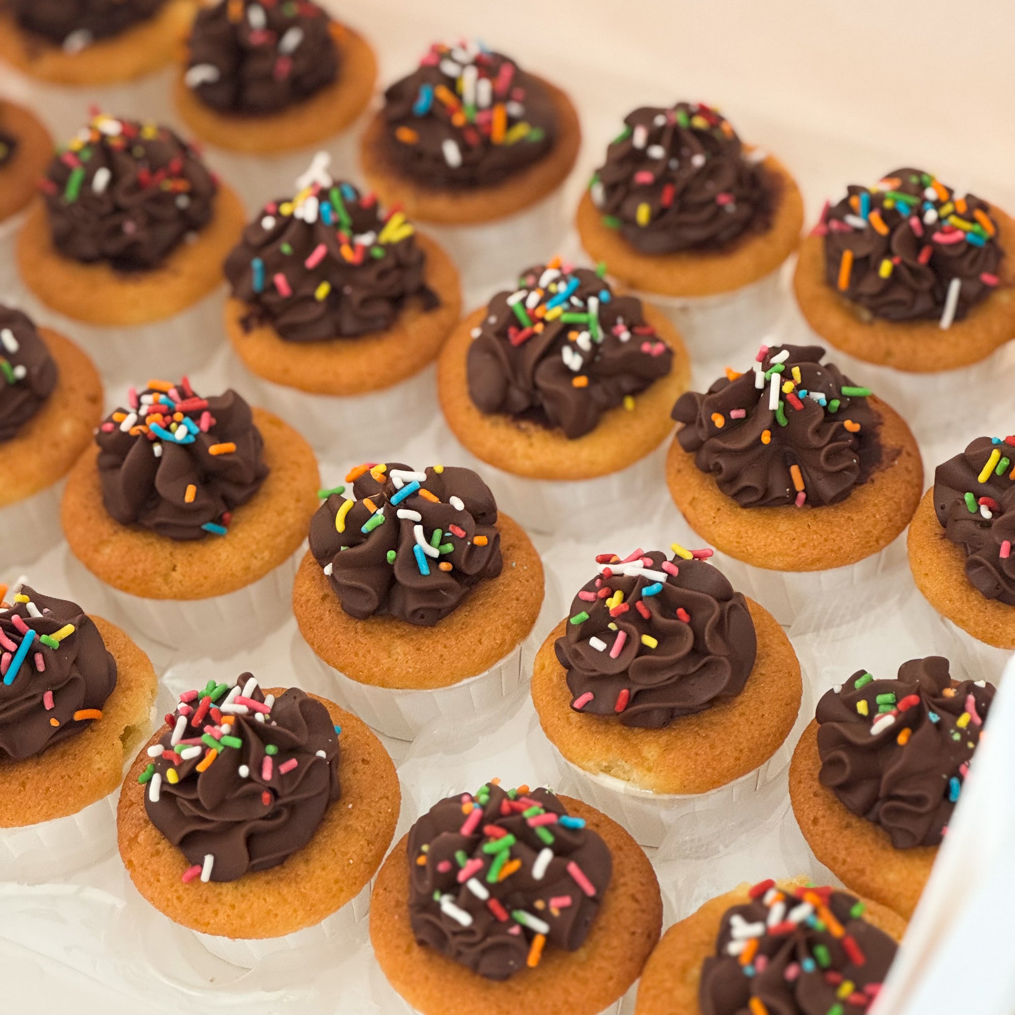 Birthday Sprinkles Mini Cupcakes – Bloomsbury Bakers
